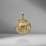 Limited Edition Elefante Large Diamond Coin Charm