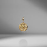 Small Compass Diamond Coin Charm