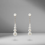 Surrounding Long Earrings